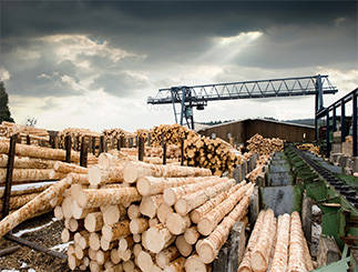 Wood processing